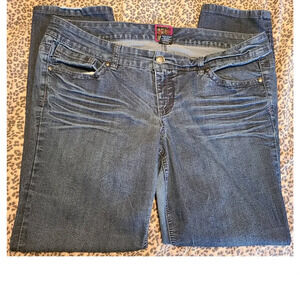 Torrid Skinny Jeans Women's Size 22 Denim Embroidered Pockets Cotton (AJ12)